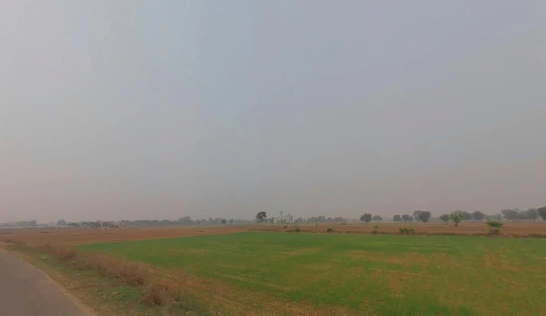 RVW5+XVC, Alapur Jatt, Rajasthan 301411, India preview 2