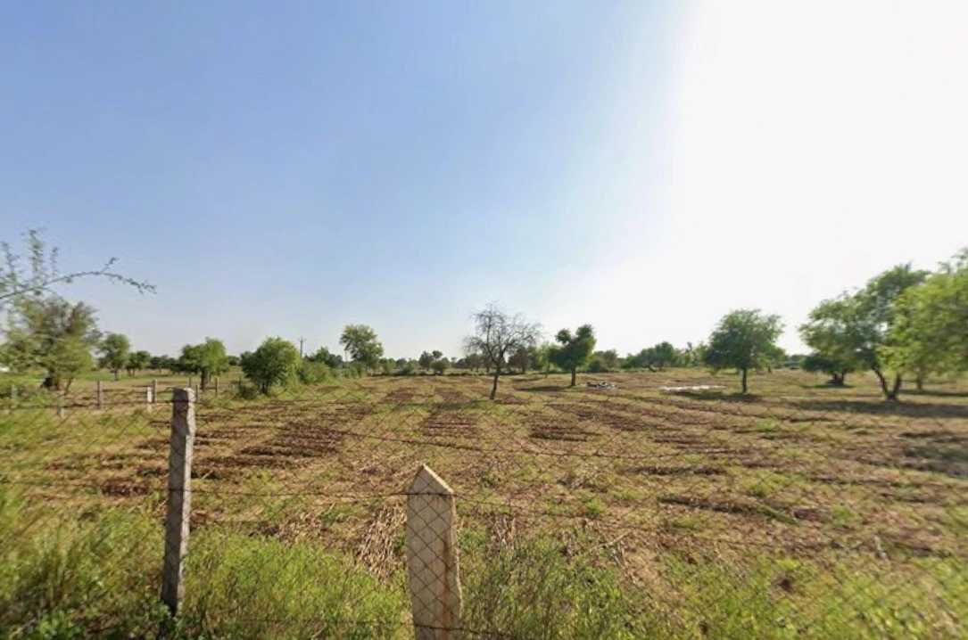 J29R+93V, Shyampură, Rajasthan 332041, India