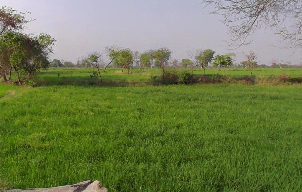 Tikathi, Chhattisgarh 495118, India preview 2