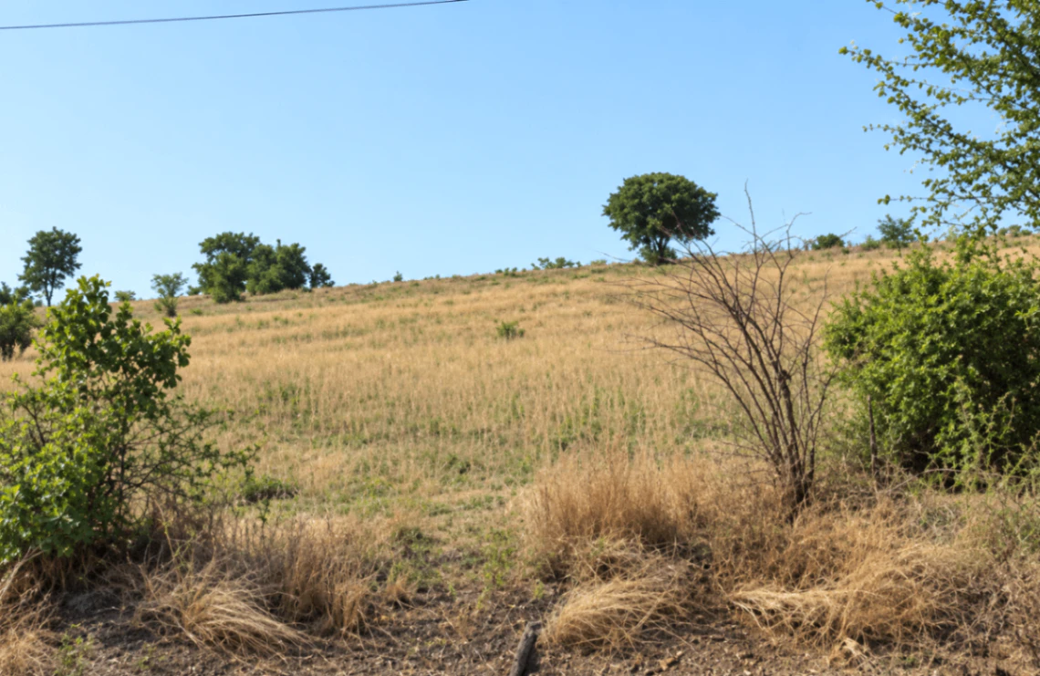 Lekhpal Colony, Chitrakoot, Sudinpur, Uttar Pradesh 210202, India