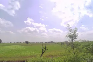 J26G+XQ Khokharwas, Rajasthan, India preview 3