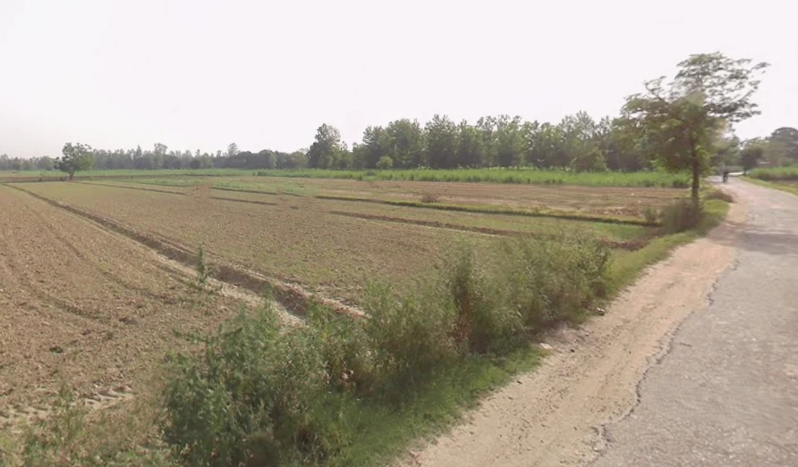Bahadurgarh, Uttar Pradesh 245208, India preview 2