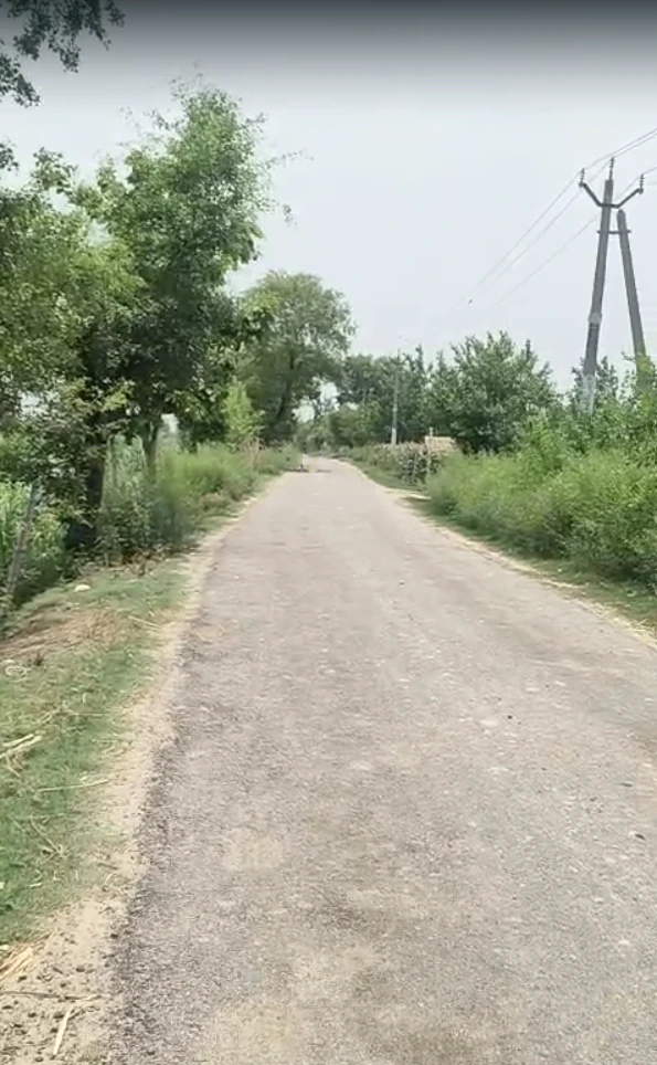 HX4R+8MR, Girdharilalpura, Rajasthan 303901, India