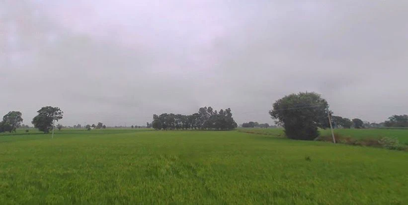 Nihal Singh Wala, Punjab 142055, India