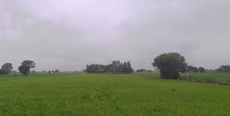 Nihal Singh Wala, Punjab 142055, India preview 2