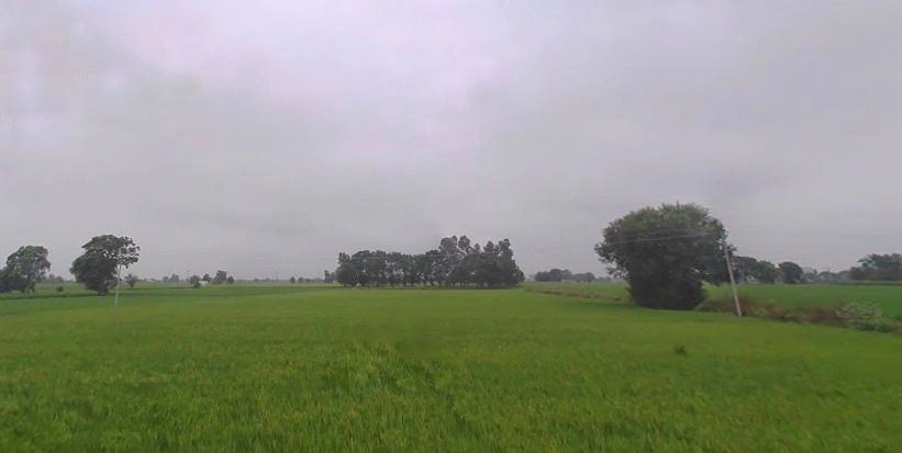 Nihal Singh Wala, Punjab 142055, India