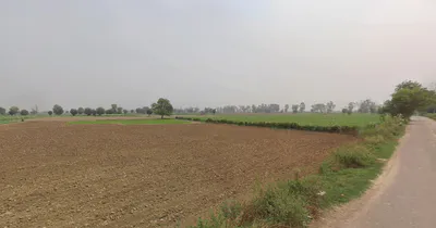 Butana, Haryana 131302, India preview 3