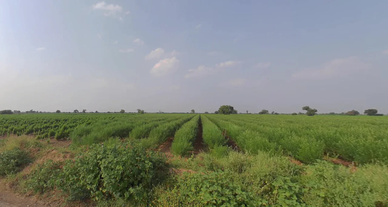 Dabhan, Gujarat, India preview 2