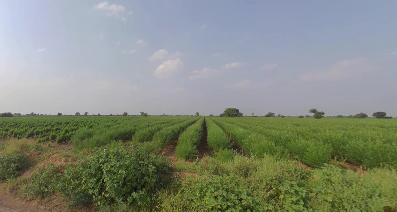 Dabhan, Gujarat, India