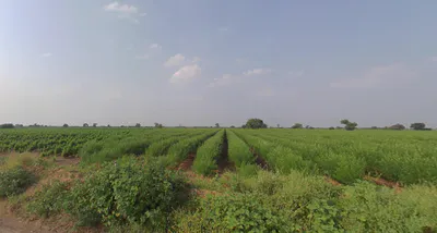 Dabhan, Gujarat, India preview 2