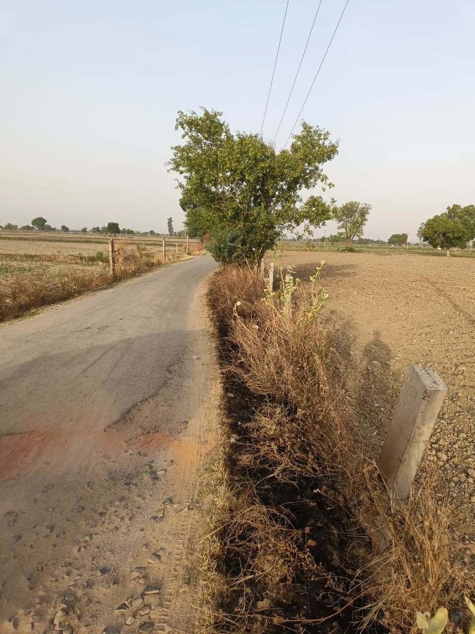 Tentigaon, Uttar Pradesh, India
