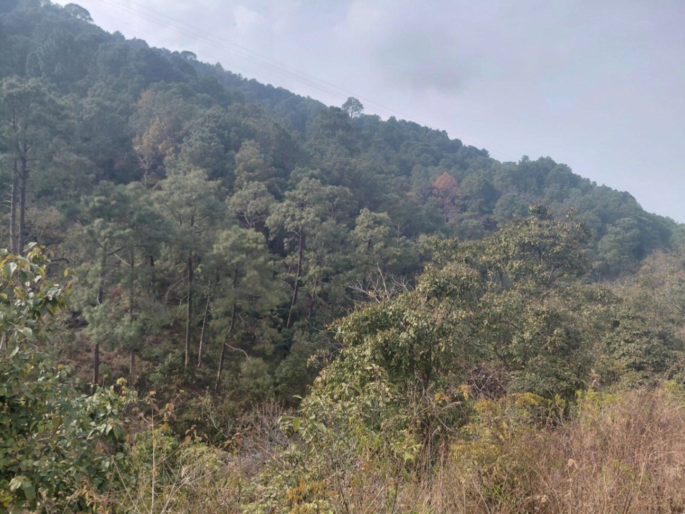 Morni Hills, Haryana, India