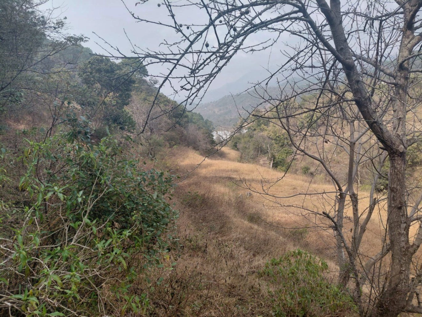 Morni Hills, Haryana, India