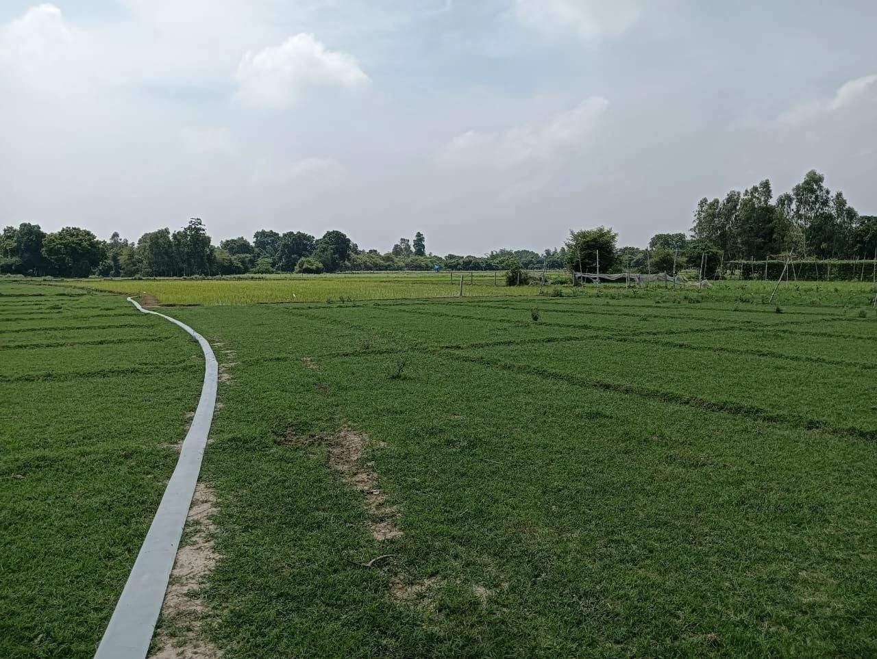 H2VV+2HR, Lucknow, Dedhari, Uttar Pradesh 226302, India