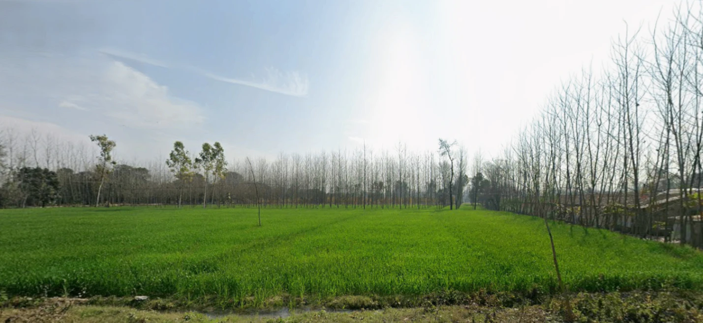 Muzaffarabad, Uttar Pradesh 247129, India