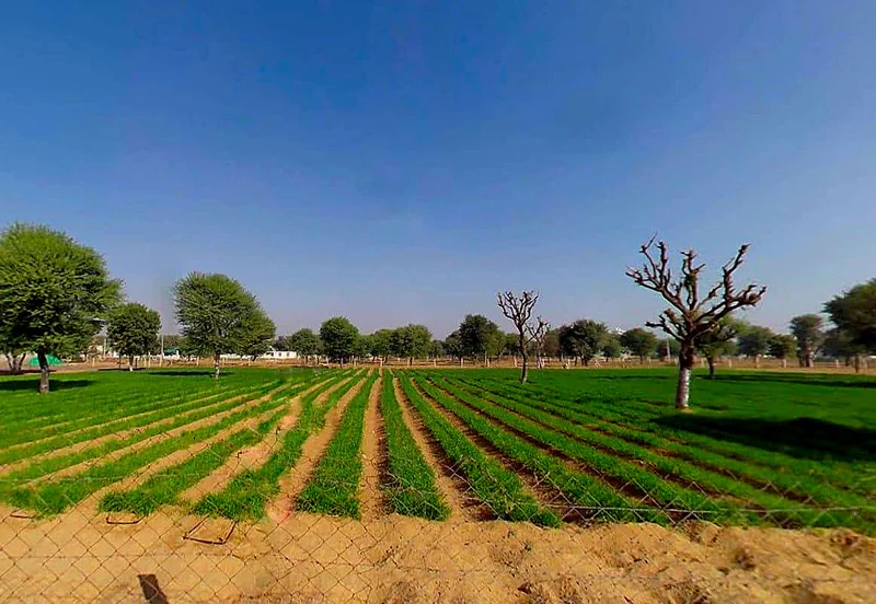 Shri Narayan Niwas, 53, Phulera - Jobner Rd, near Jobner Bypass Road, Kumawat Colony, Macharkhani, Jobner, Machhar Khani, Rajasthan 303328, India preview 3