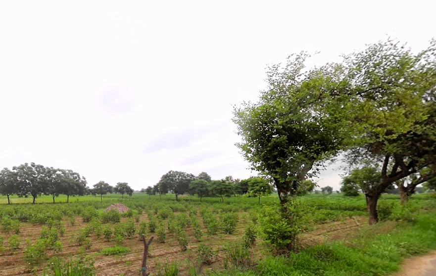 Hisar, Haryana, India