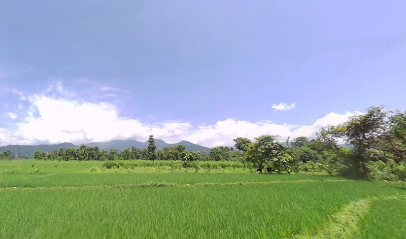 Samalbong, West Bengal 734201, India preview 2