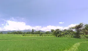 Samalbong, West Bengal 734201, India preview 2