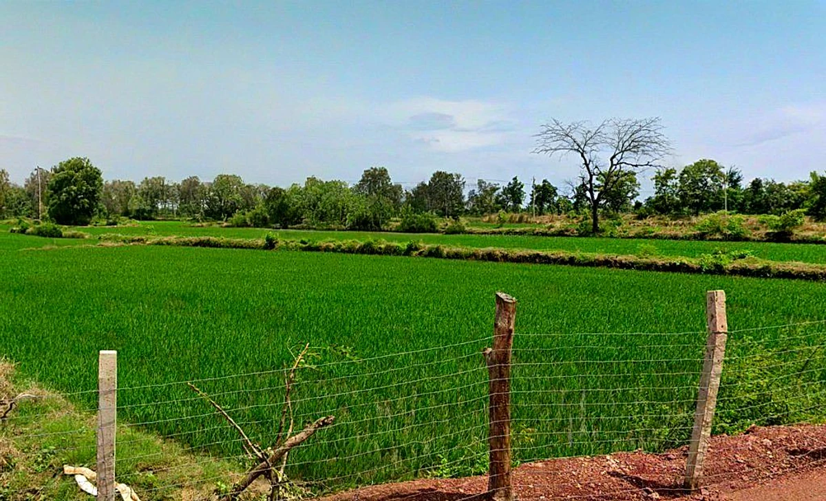 Dargaon, Chhattisgarh 491332, India