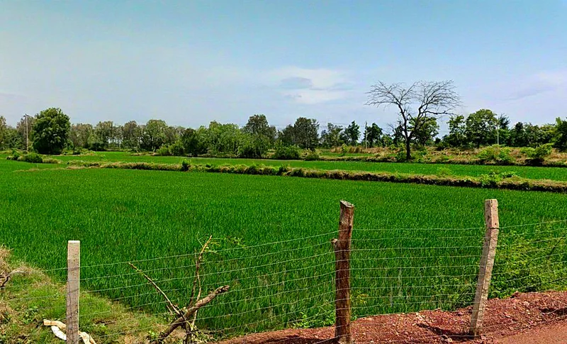 Dargaon, Chhattisgarh 491332, India preview 2