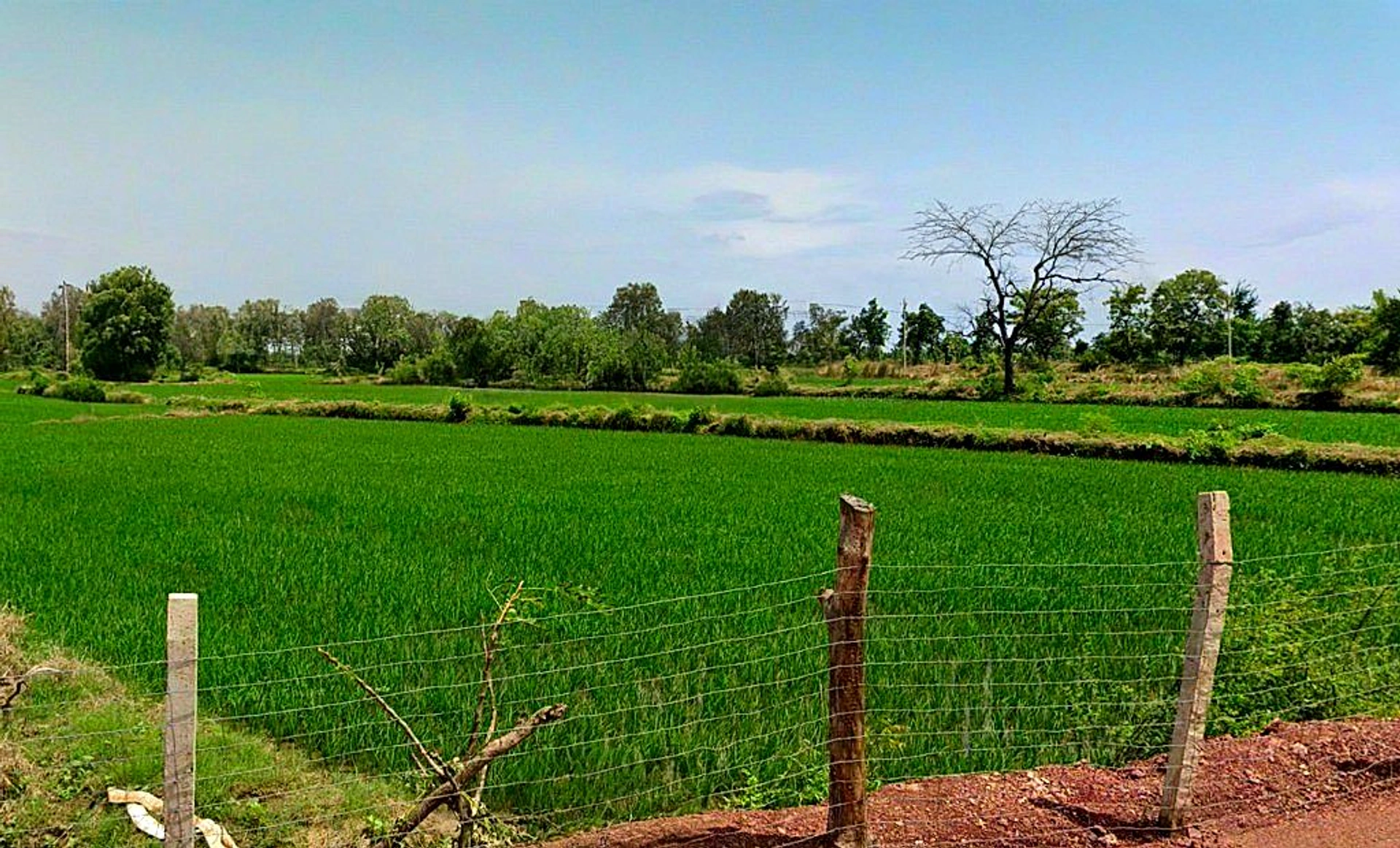 Dargaon, Chhattisgarh 491332, India