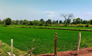 Dargaon, Chhattisgarh 491332, India preview 2