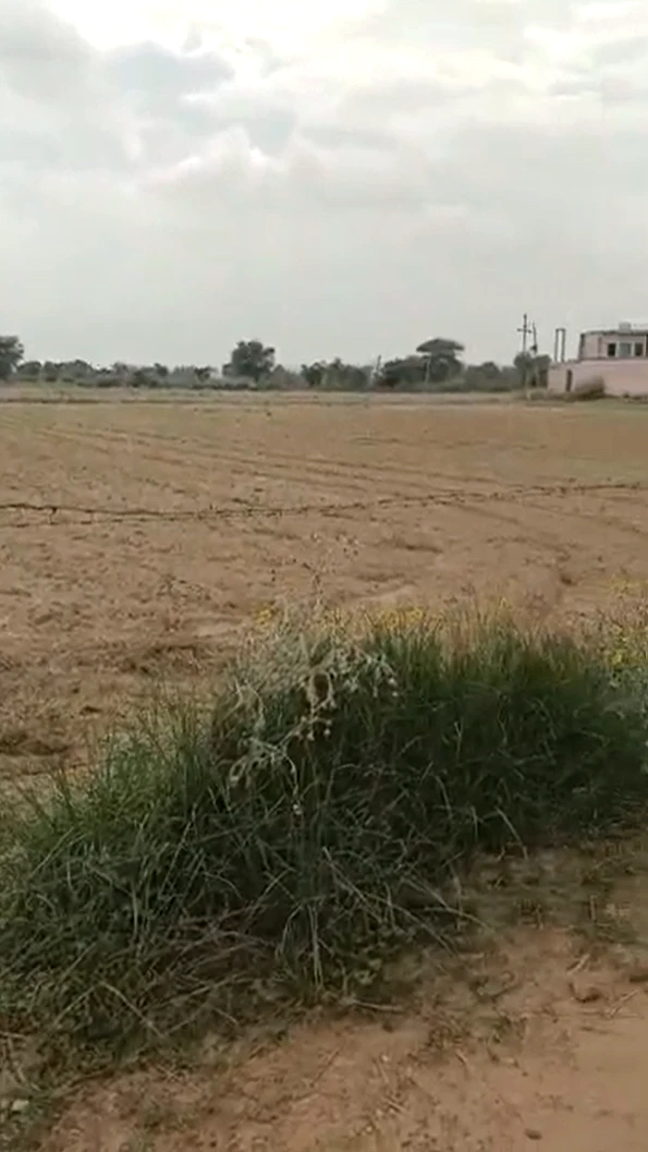 HC4H+CPX, Bhagosa, Uttar Pradesh 281502, India