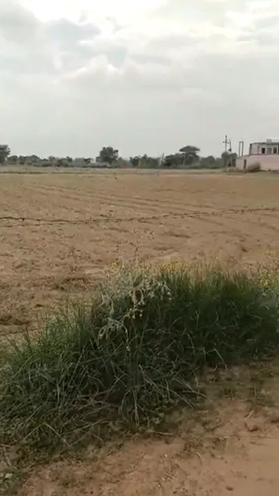 HC4H+CPX, Bhagosa, Uttar Pradesh 281502, India preview 3