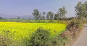 23 Milestone, NH-07, Chakrata Rd, Shankarpur, Shankerpur Hakumatpur, Uttarakhand 248197, India preview 2