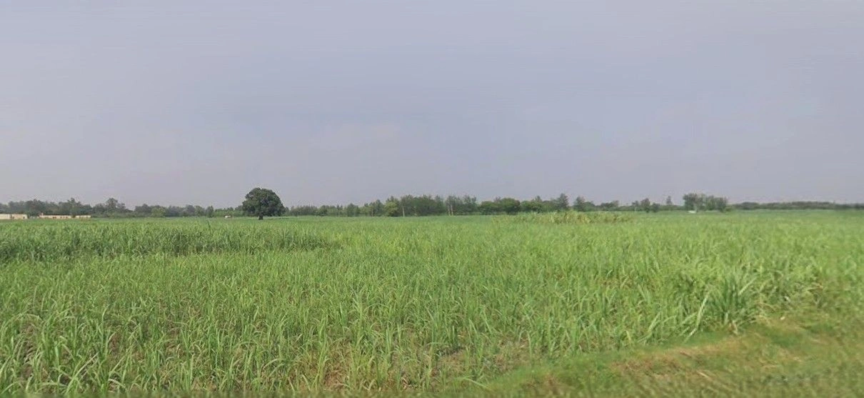 Budhana, Uttar Pradesh 251309, India preview 2