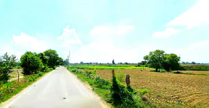 Rudauli, Uttar Pradesh 224120, India preview 2