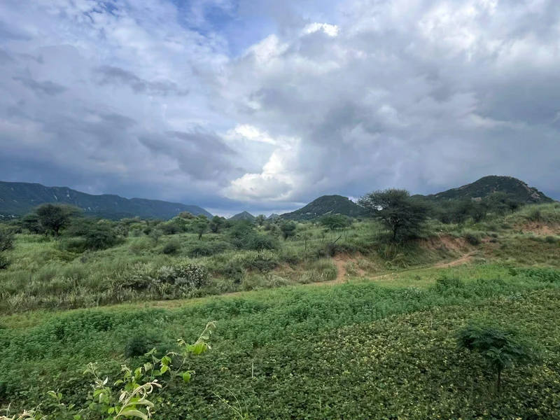 2QH7+4C Basant Bihar, Rajasthan, India preview 2