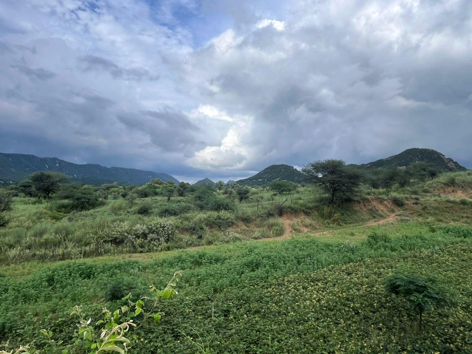 2QH7+4C Basant Bihar, Rajasthan, India