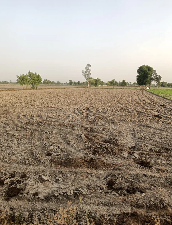 Nurpur Bedi, Punjab 140117, India