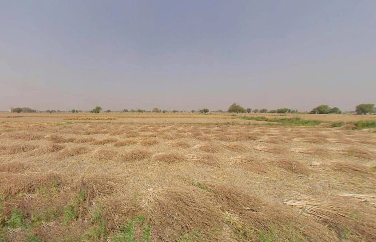 JM89+P57, Basatpur, Uttar Pradesh 245301, India