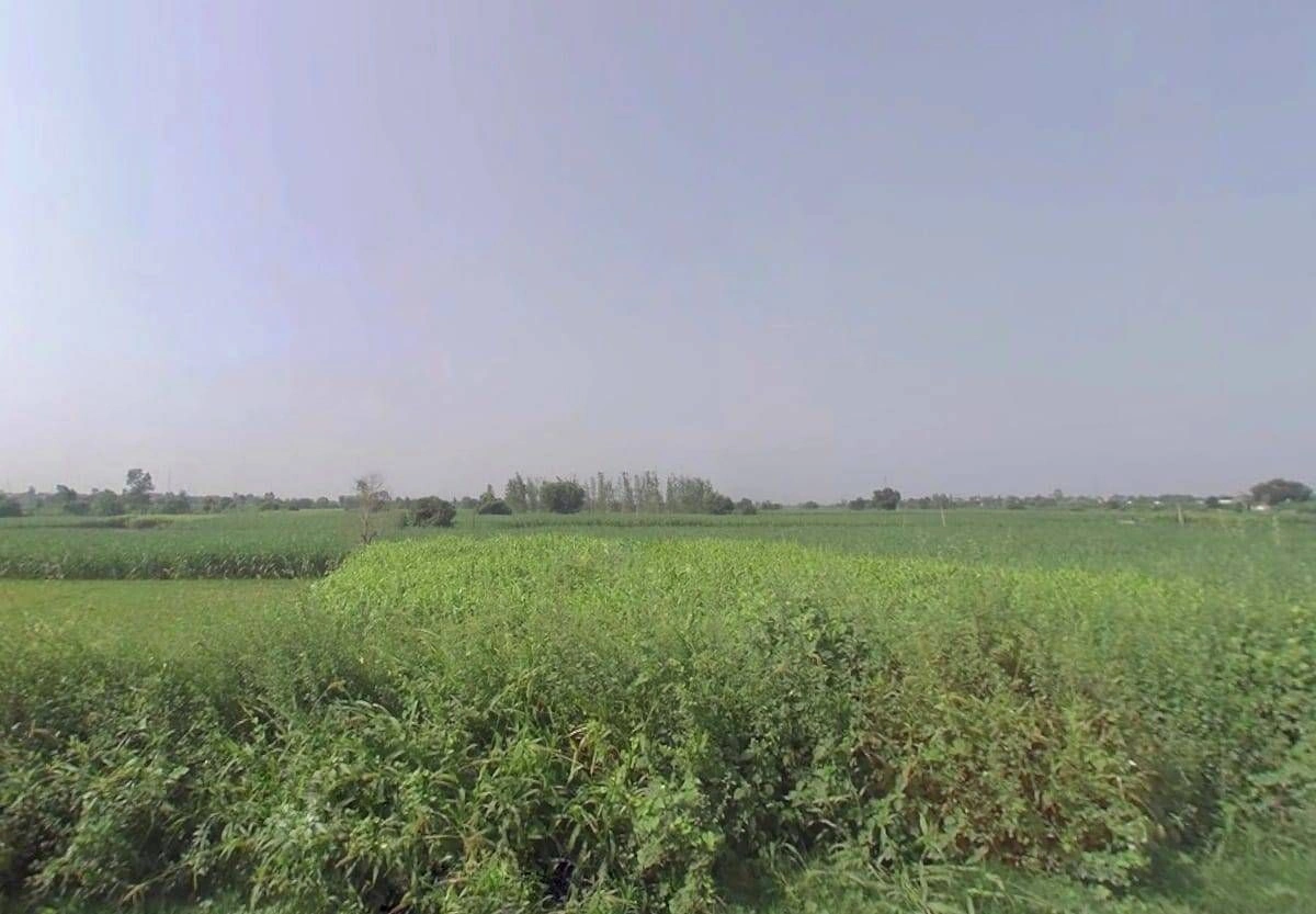 P456+QQ Palwada, Uttar Pradesh, India