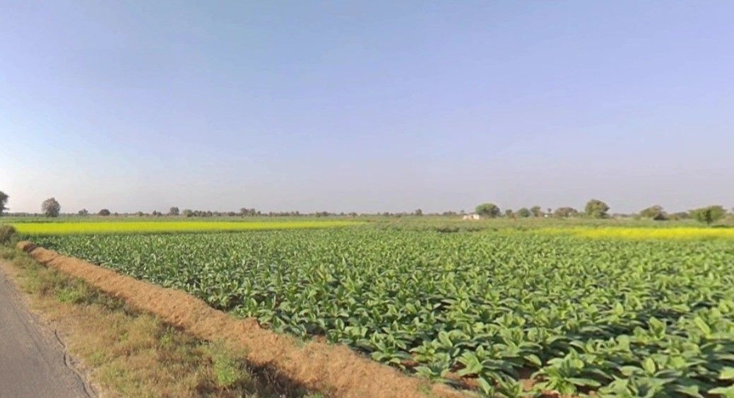 Sehore, Madhya Pradesh 466001, India