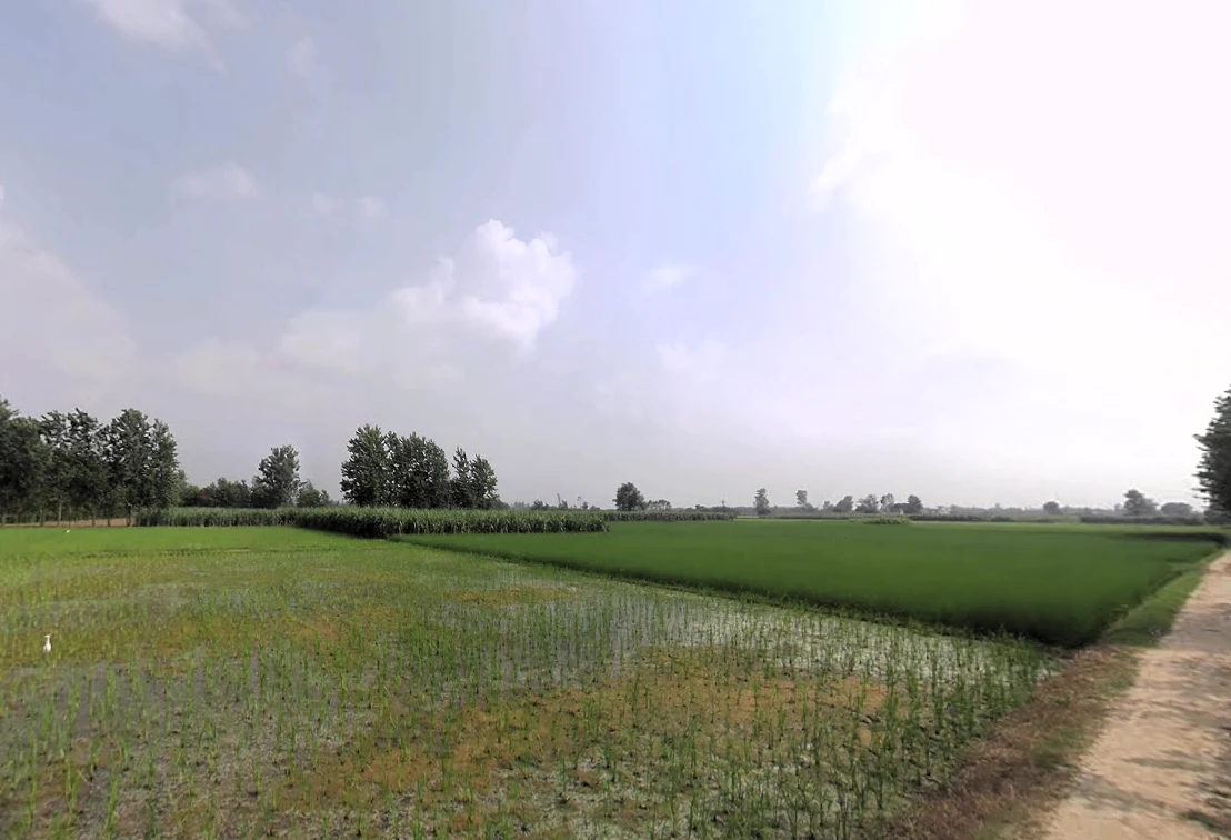 Nakur, Uttar Pradesh 247342, India