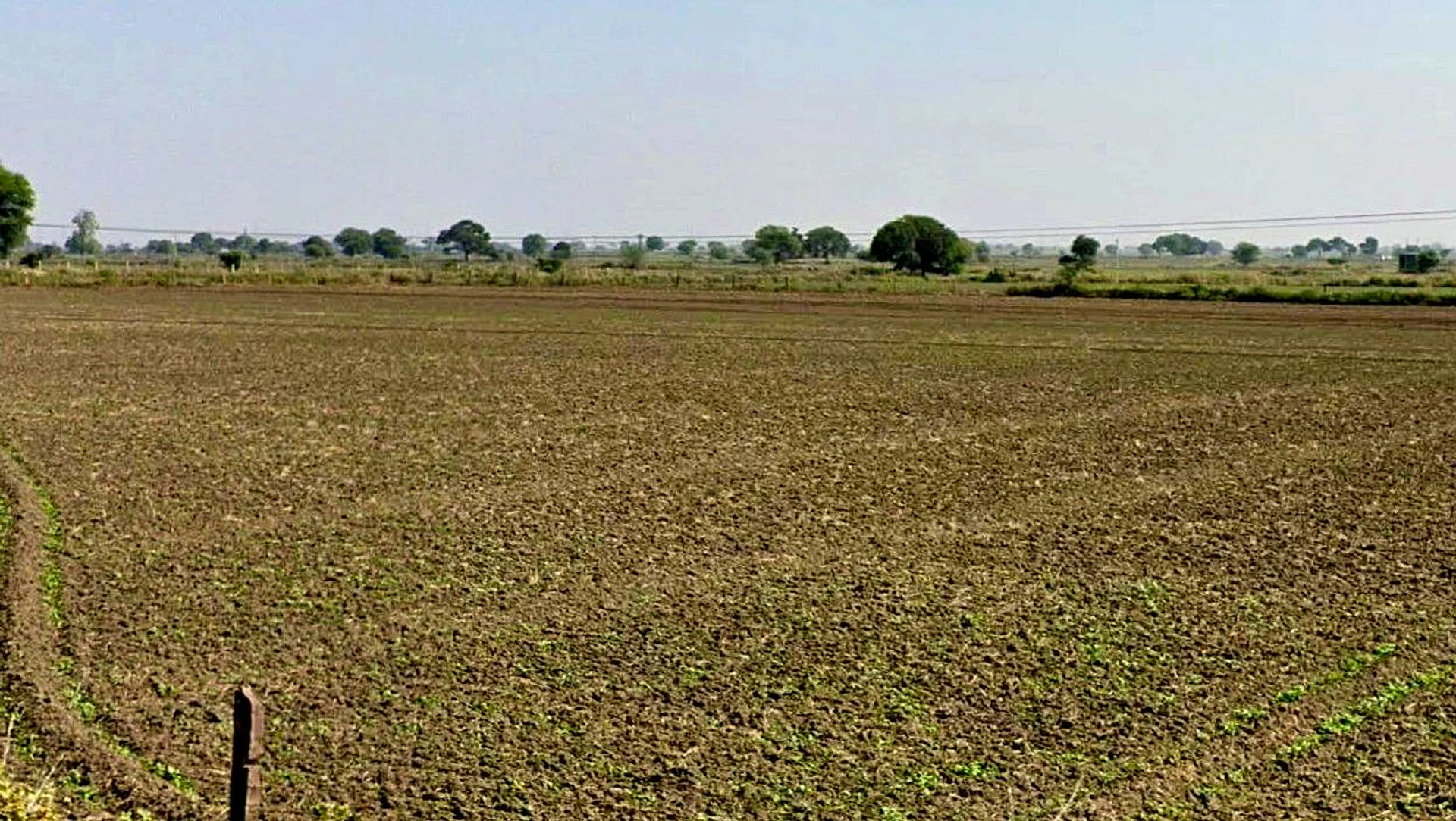 RFWC+977, Miana, Madhya Pradesh 473113, India