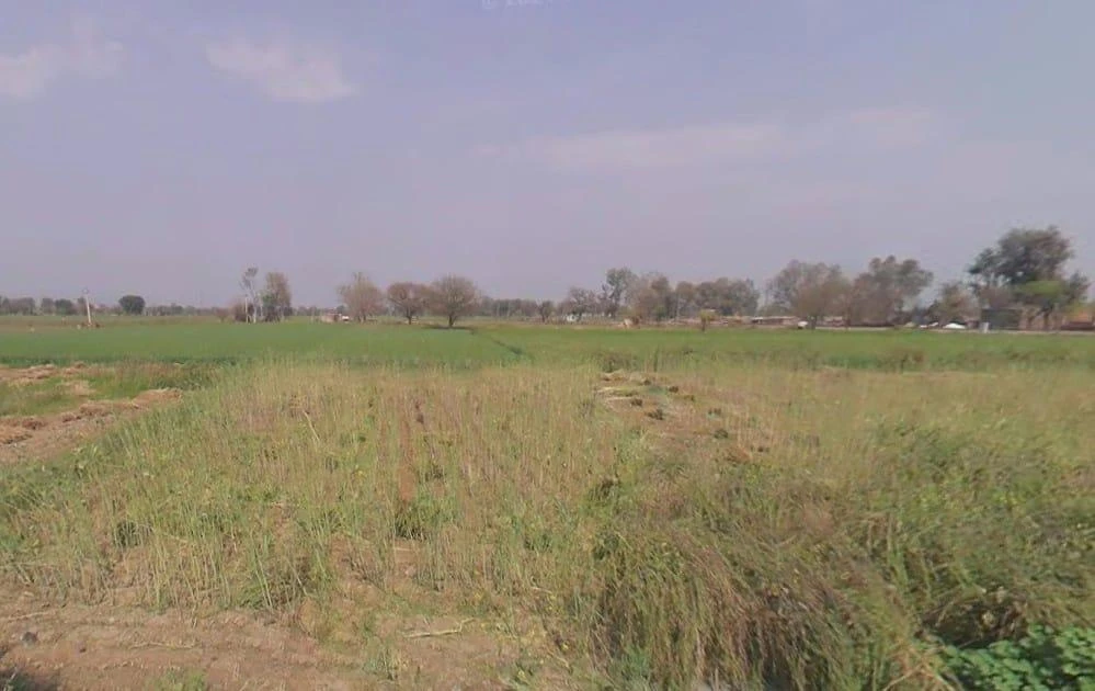 Sohanpur, Rajasthan, India