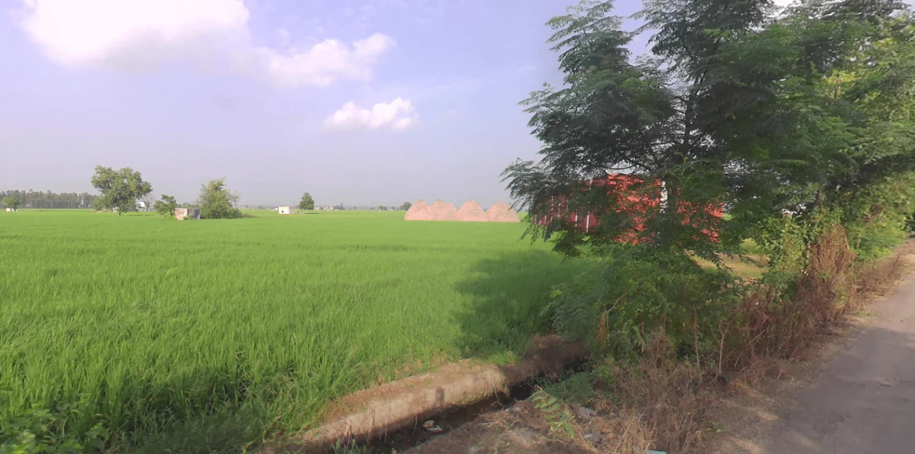 Rajpur, Uttar Pradesh 245207, India