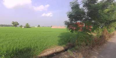 Rajpur, Uttar Pradesh 245207, India preview 3