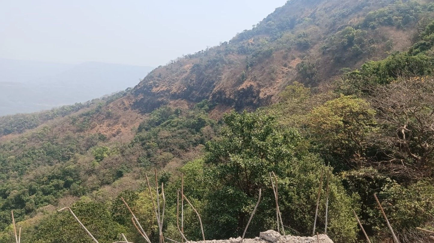 Ozare Budruk, Ratnagiri, Maharashtra, India - Photo 3