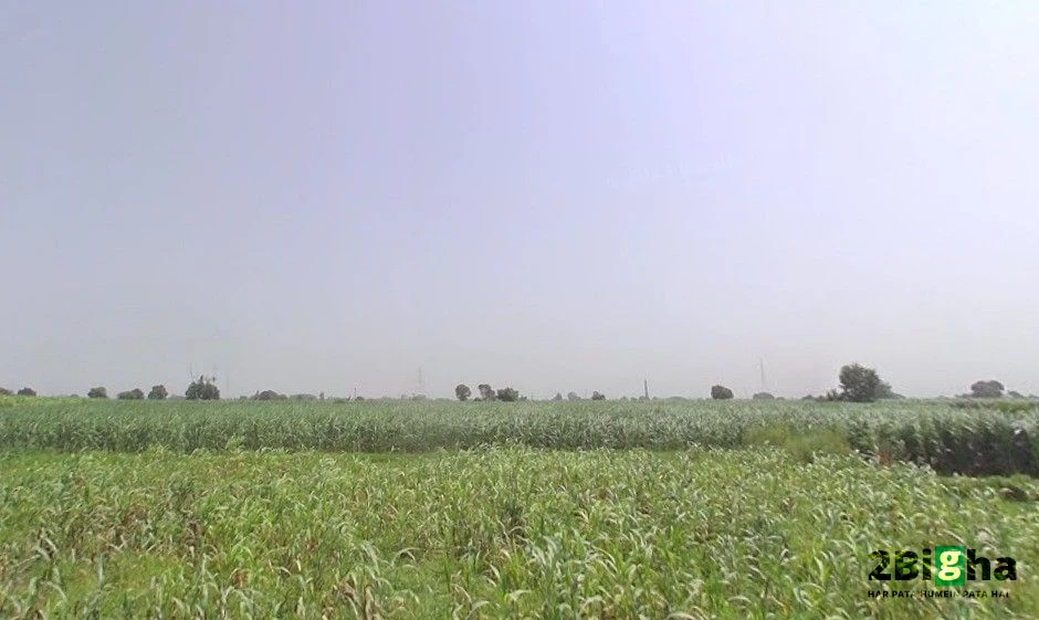 Pithlokar, Uttar Pradesh 250342, India