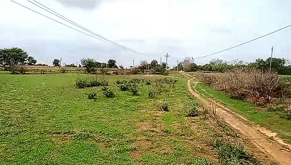 WQJM+VM Chagaluru, Andhra Pradesh, India