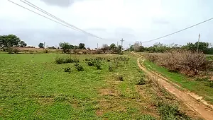 WQJM+VM Chagaluru, Andhra Pradesh, India preview 3