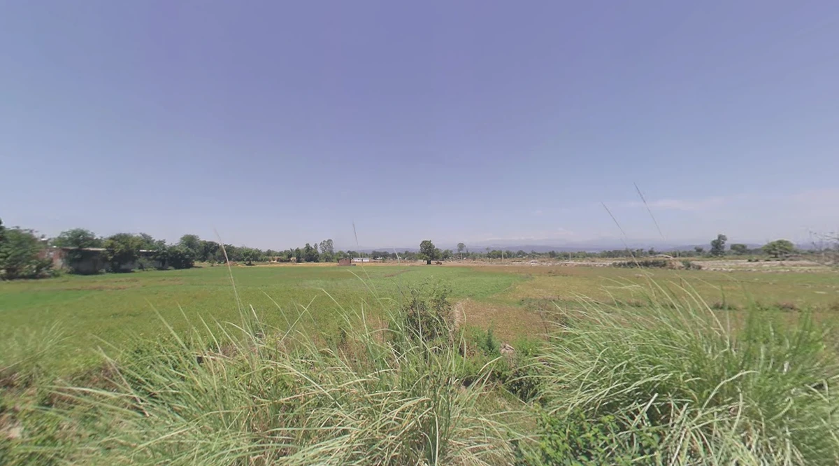 Raison, Himachal Pradesh 175128, India