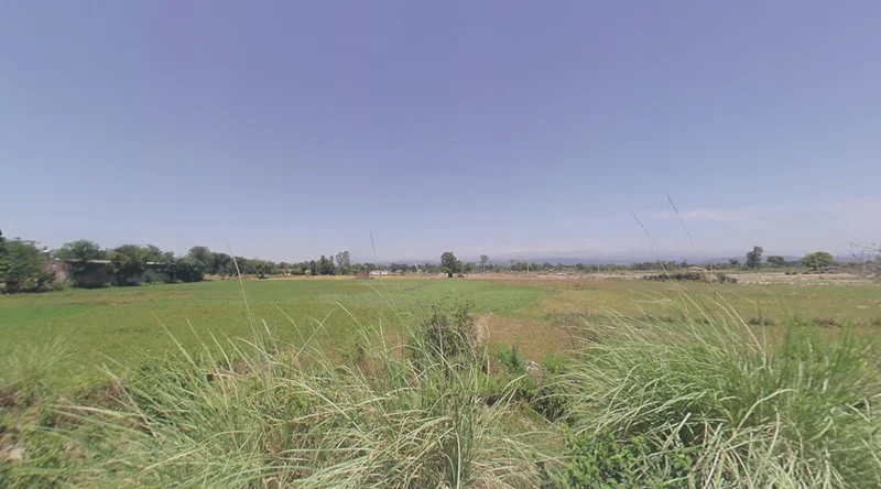 Raison, Himachal Pradesh 175128, India preview 3