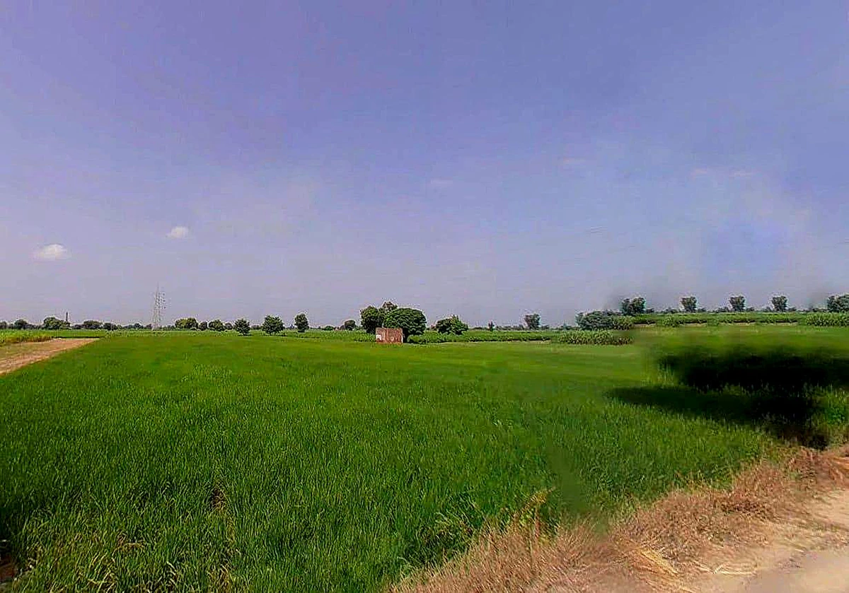 Jagannathprasad, Odisha 761121, India